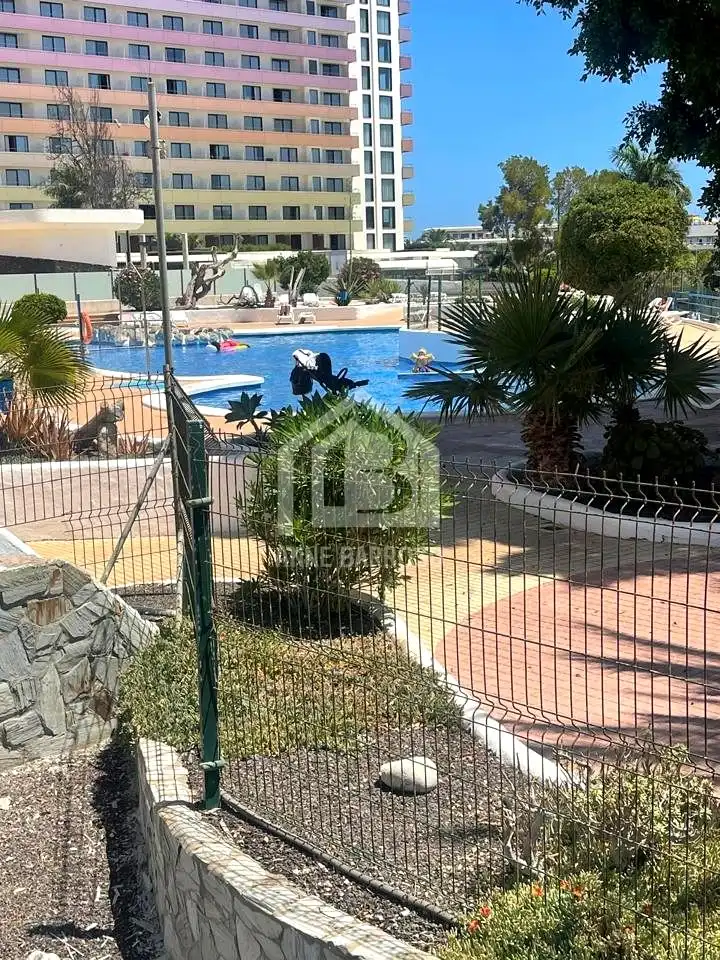 Piscina de Planta baja de alquiler en Adeje