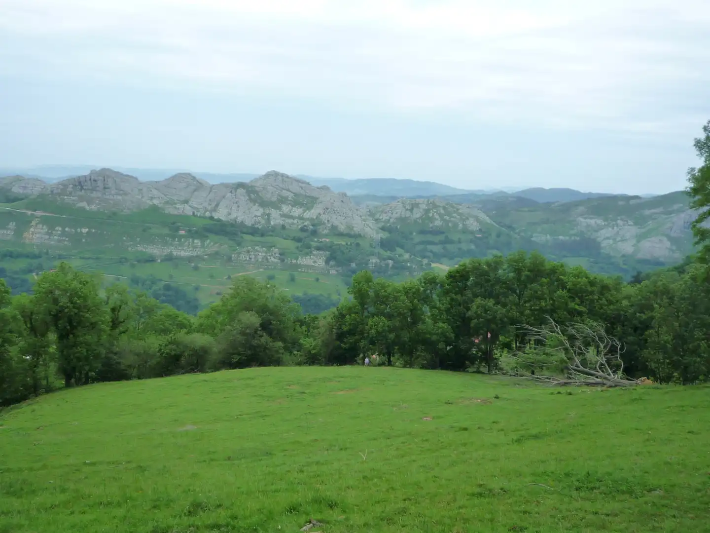 Terreno rustico in vendita a Liérganes, imagen 12