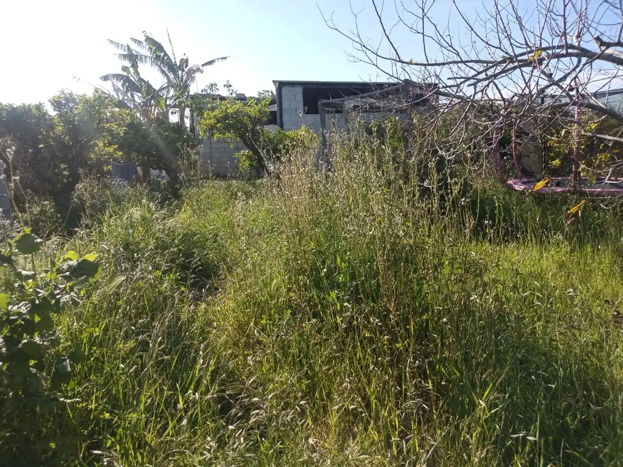 Country homes for sale in Sueca