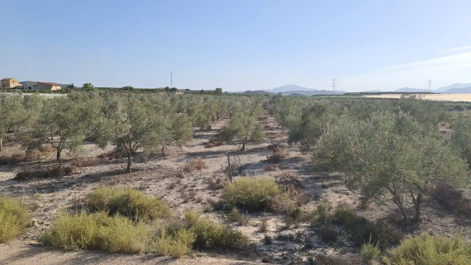 Terrenos y solares en venta en Monforte del Cid, imagen 5