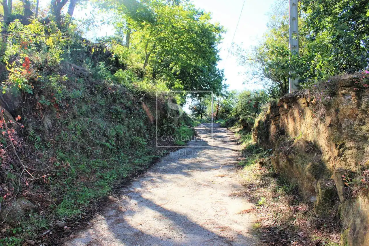 Casa rústica amb jardí en venda a As Neves, imagen 3