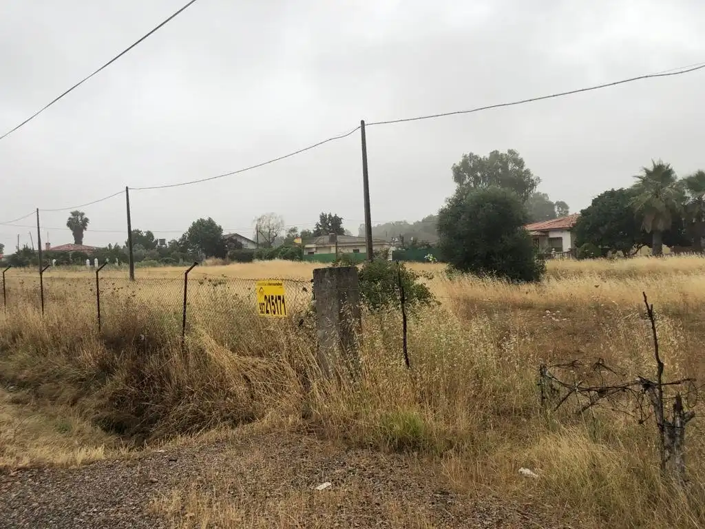 Terreni e lotti in vendita a Alcuéscar, imagen 5