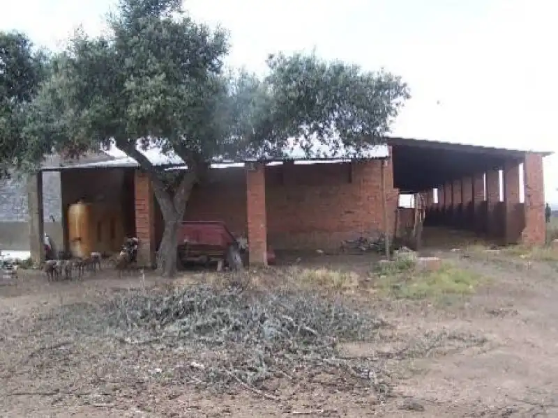 Terreni e lotti in vendita a Alcántara, imagen 4