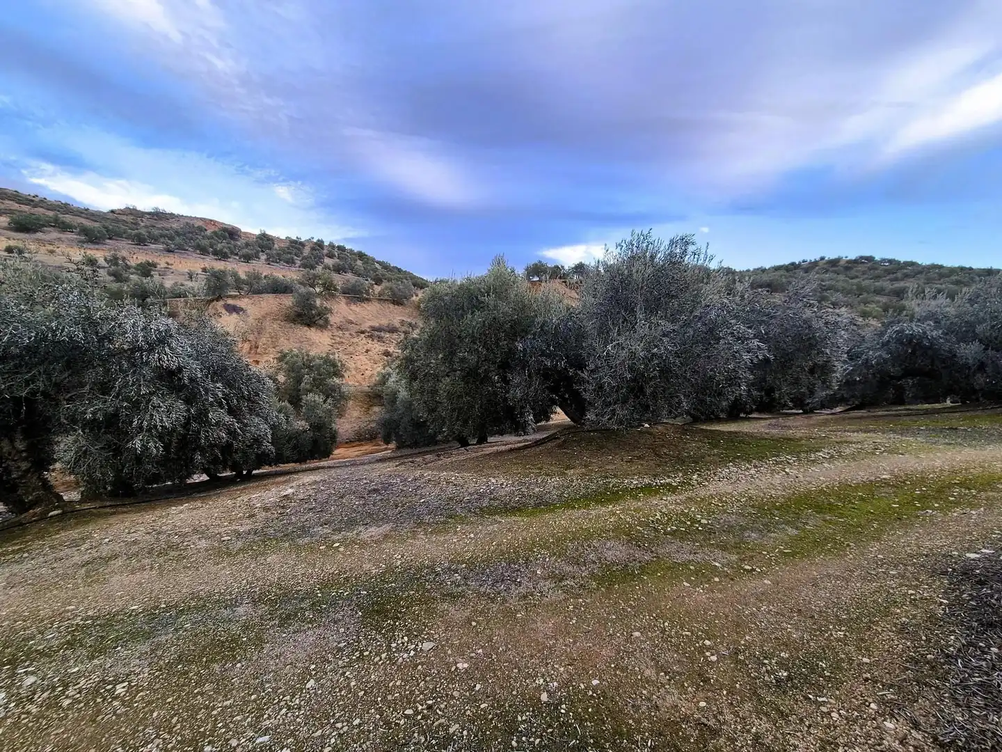 Rural land for sale in Huétor Tájar, imagen 24