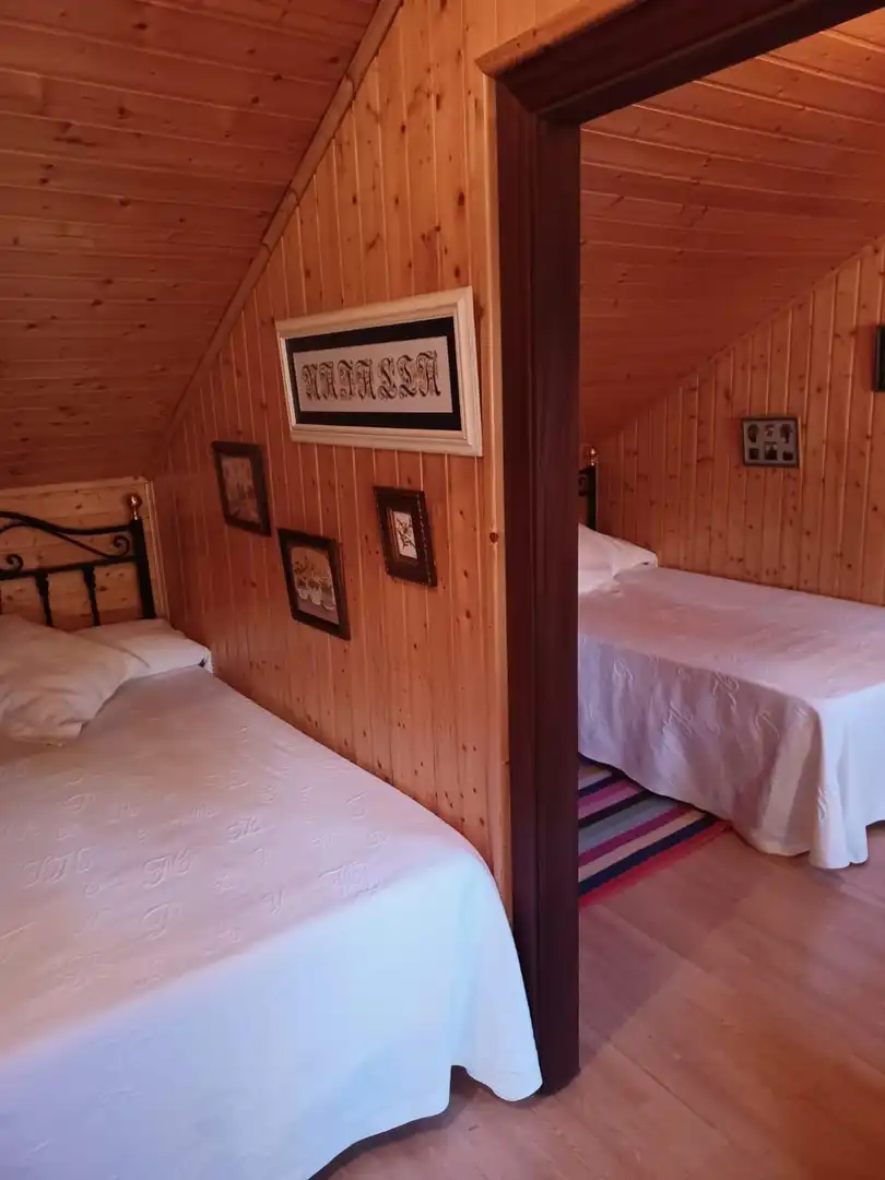 Villa in vendita a Cangas del Narcea, imagen 56