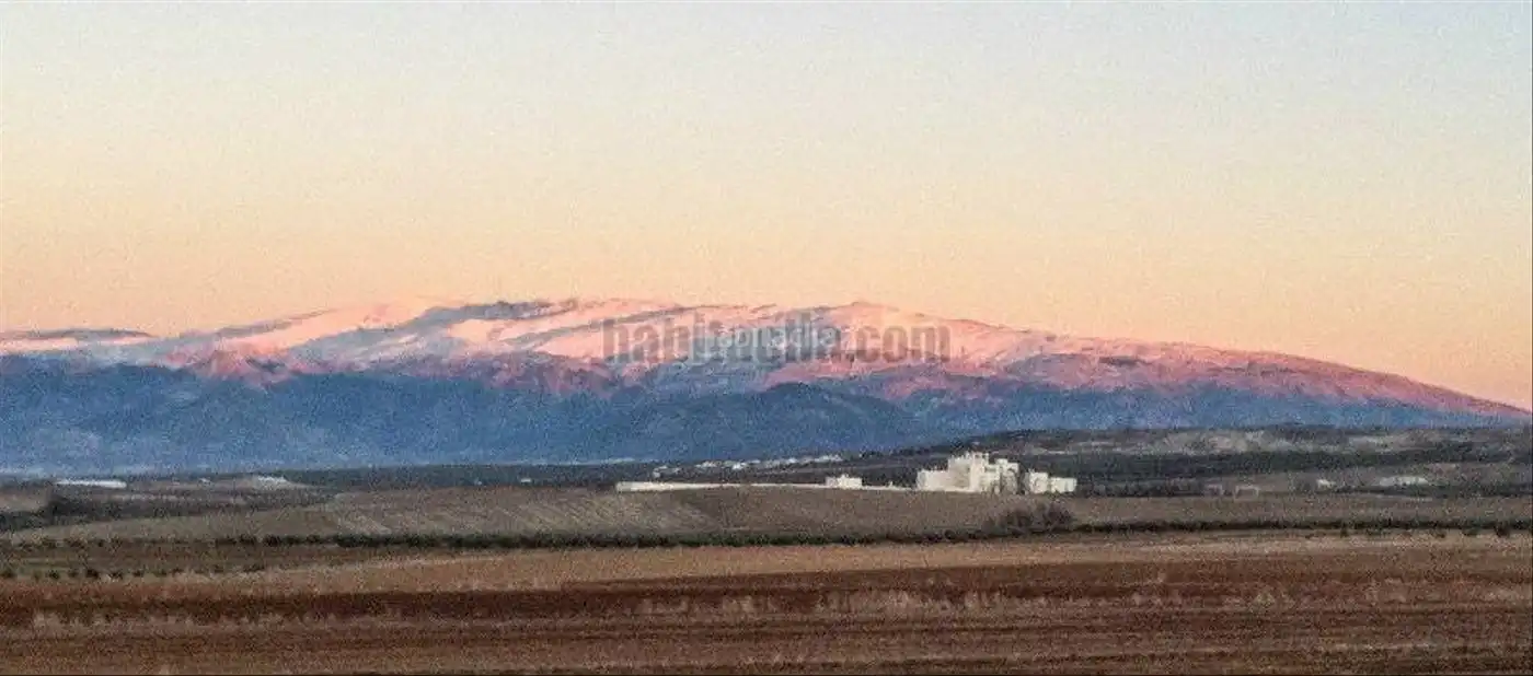 Haus mit Garten zum Verkauf in Travesía Carretera 1, imagen 12
