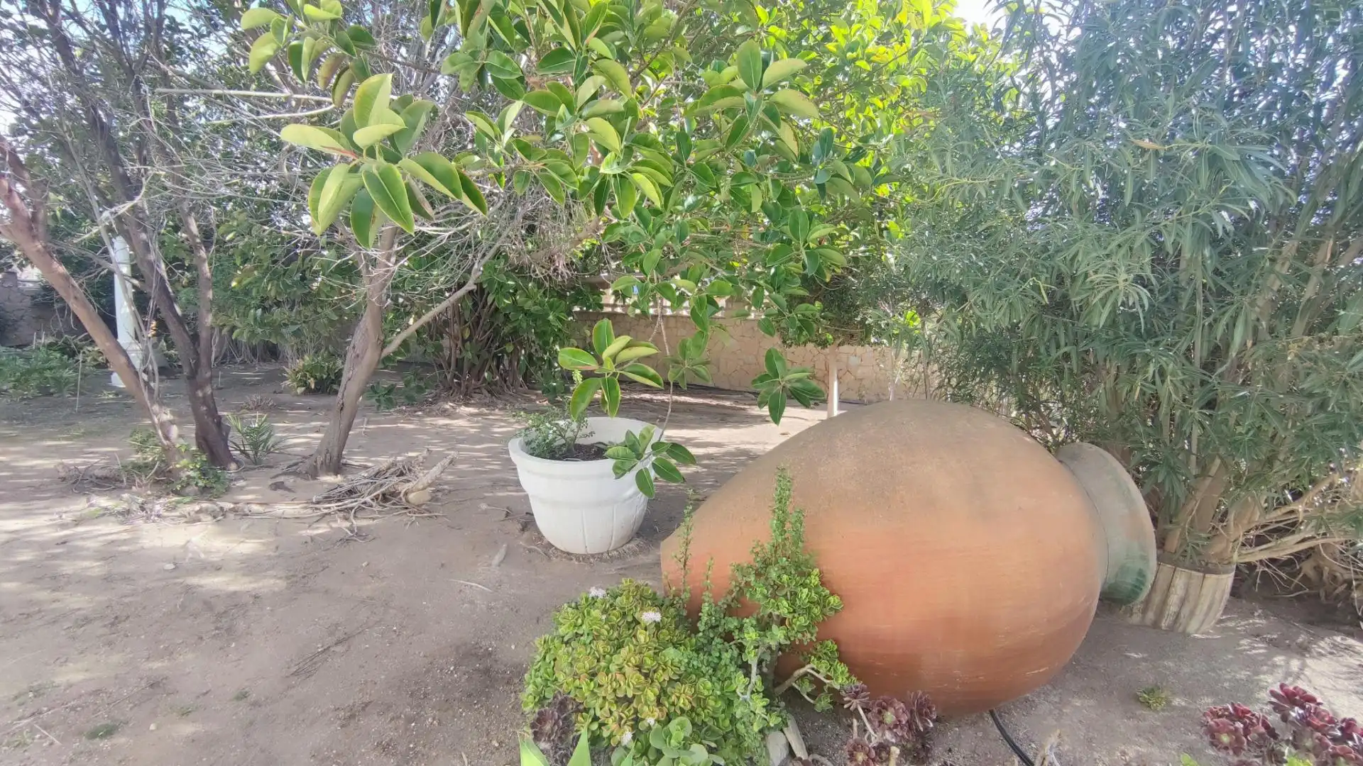 Garden of Houses for sale in San Vicente del Raspeig / Sant Vicent del Raspeig  with Air Conditioner, Heating and Private garden