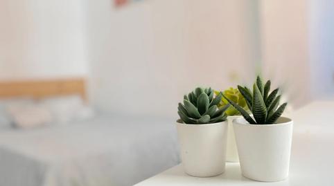 Photo 5 of Apartment to share in El Torrejón - El Cerezo,  Sevilla Capital