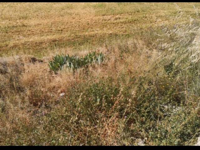 Terreno residencial en Venta en Ronda de Pla de Marco, 1 en Olocau