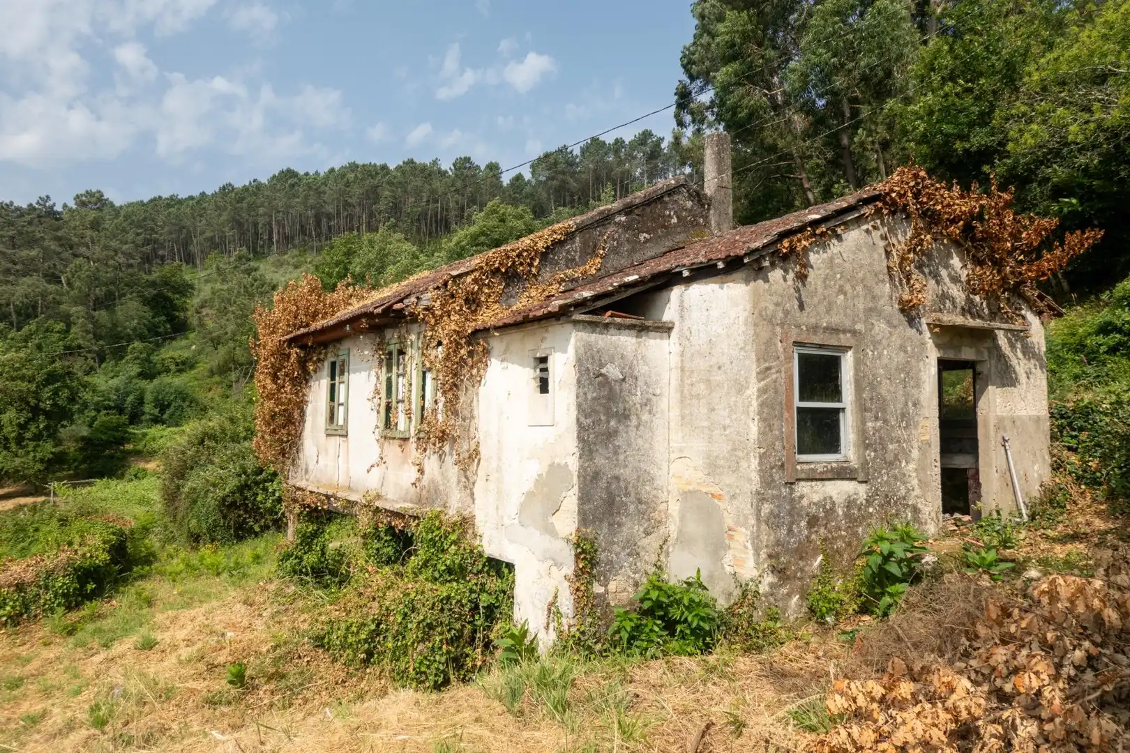 Vista exterior de Finca rústica en venda en Arbo amb Jardí privat