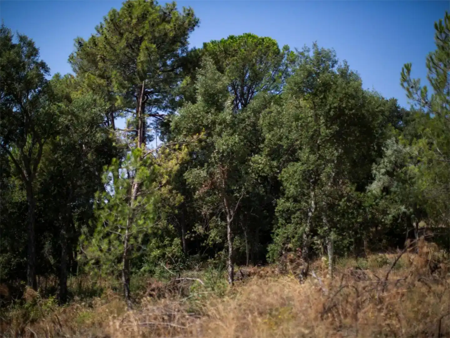 Residencial en venda en Piedralaves