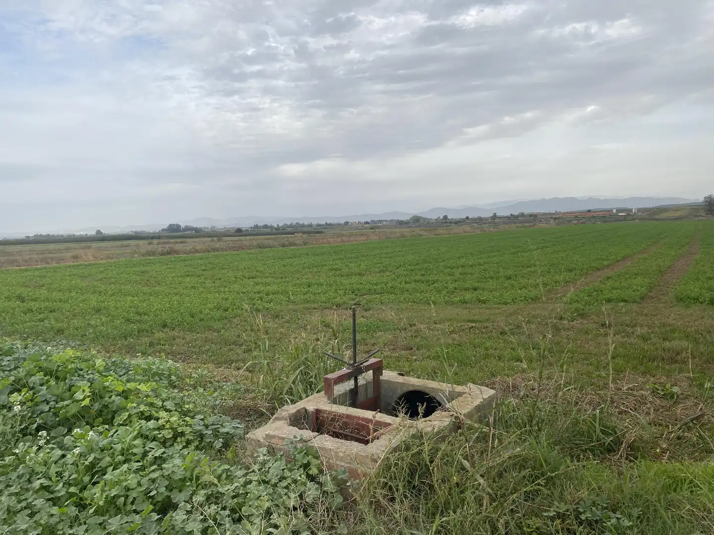Terreny rústic en venda a Bellcaire d'Urgell, imagen 9
