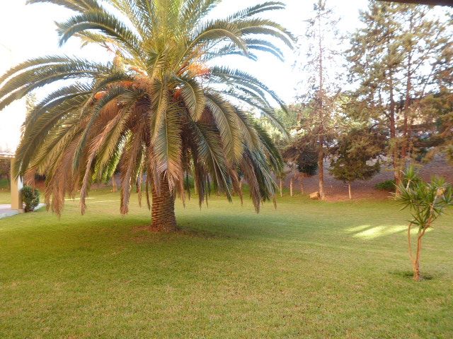 Apartment to rent in Calle Encarnación Fontiveros, La Florida - Parque Norte