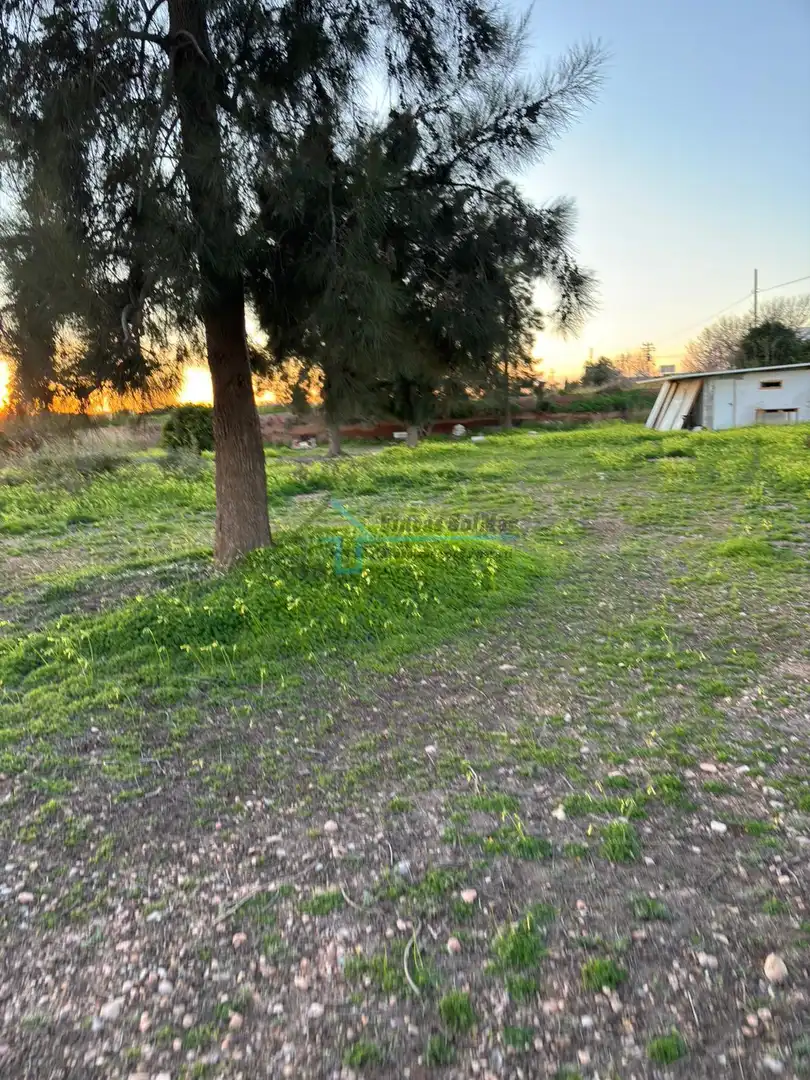 Terreni e lotti in vendita a Los Pinares - La Masia, imagen 10