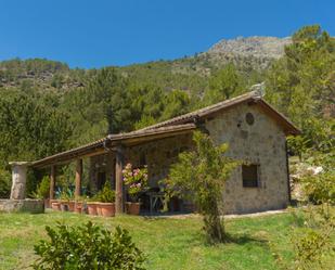 Garden of House or chalet for sale in El Hornillo 