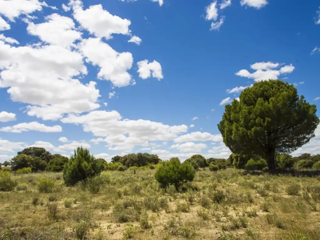 Finca rústica en venda en Navalcarnero