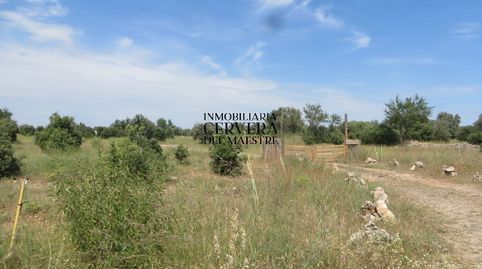 Finca rústica de 54.000 m² con encinas truferas, edificaciones y espectaculares vistas en Canet-lo-Roig, imagen 2