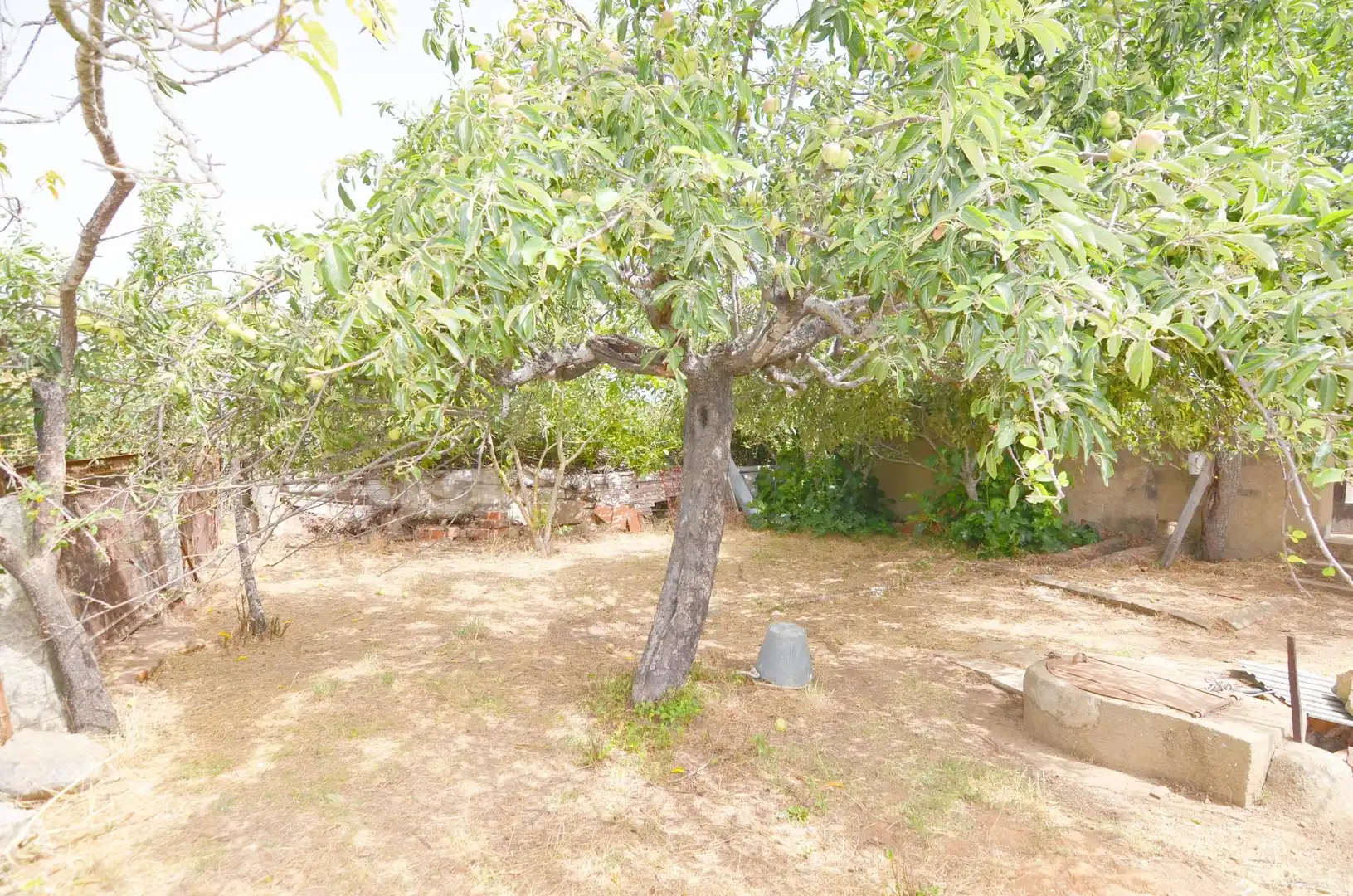 Garden of Houses for sale in Cabrillas  with Terrace and Balcony
