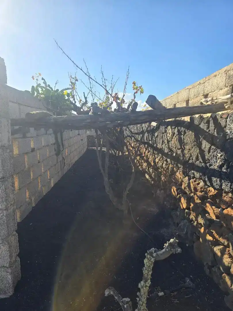 Garden of Houses for sale in Tías  with Air Conditioner, Private garden and Storage room
