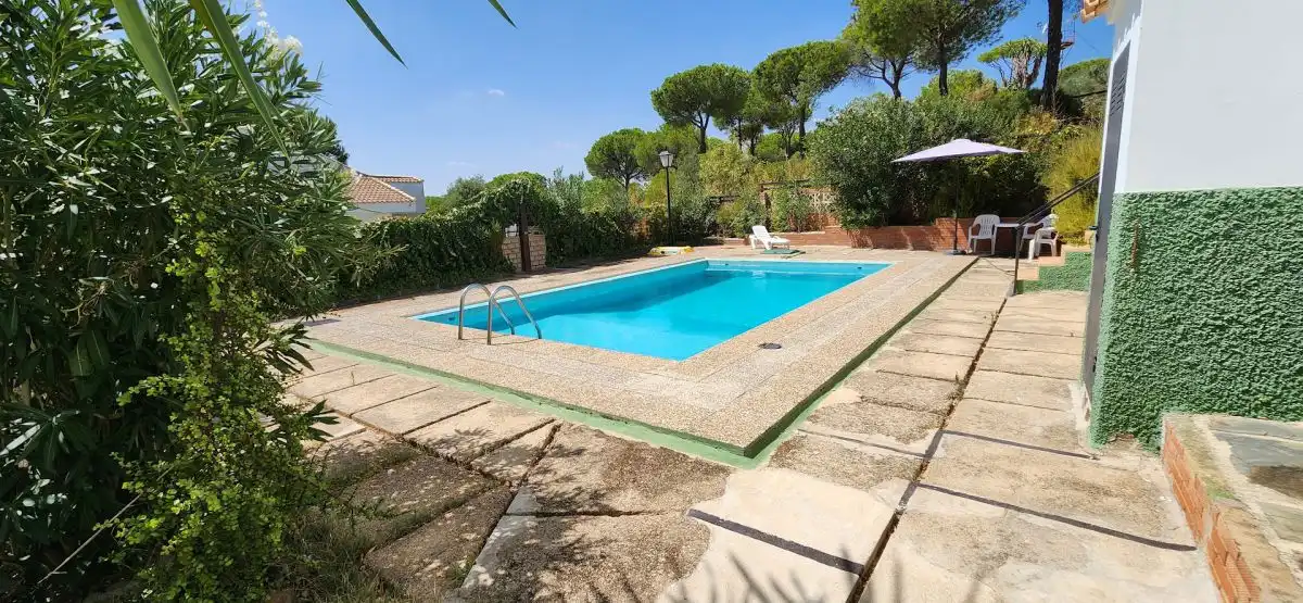 Piscina de Finca rústica en venta en Valverde del Camino