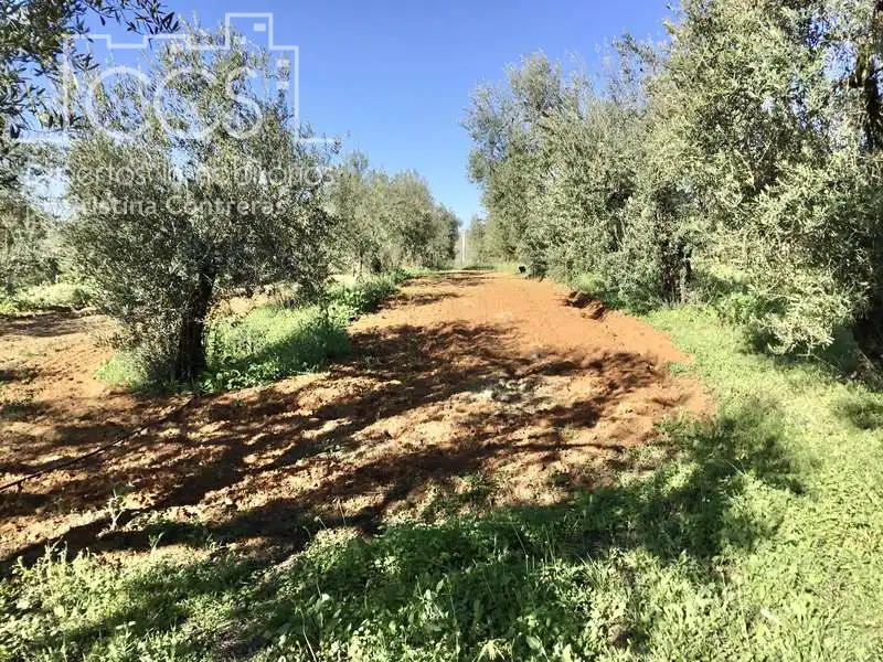 Finca rústica en venta en Pilas con Aire acondicionado, Terraza y Trastero