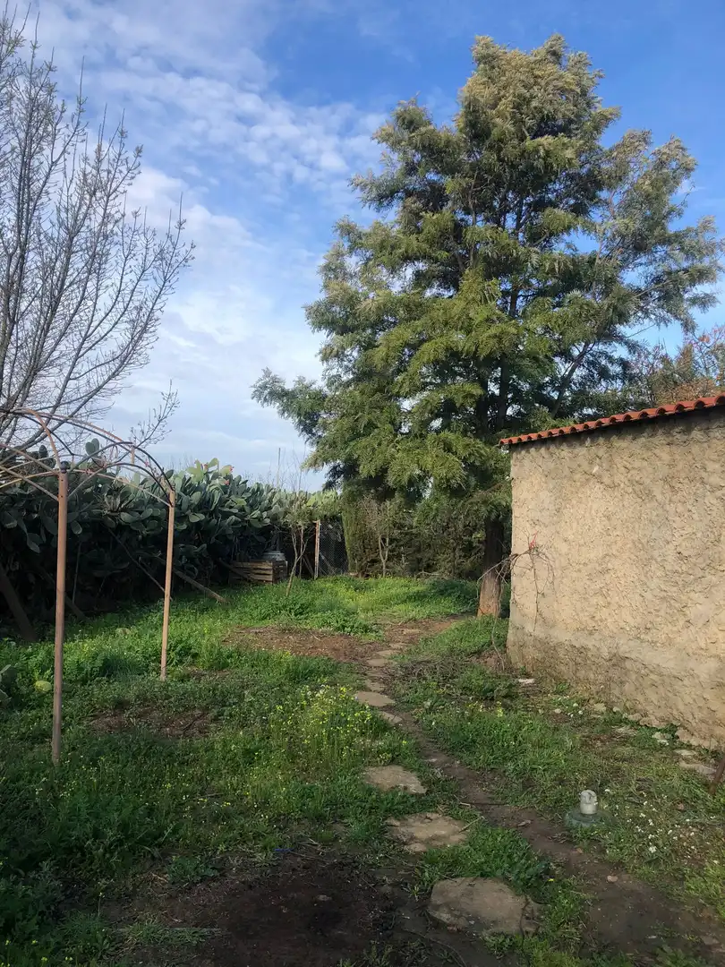 Country homes for sale in Mérida  with Heating, Private garden and Terrace