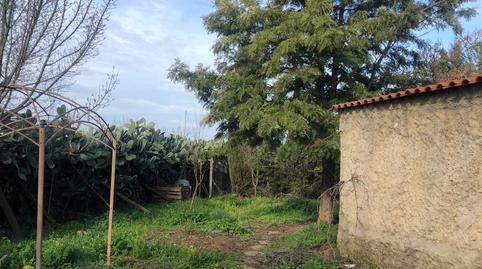 Photo 4 of Country house for sale in Nacional 630, Torremejía, Badajoz