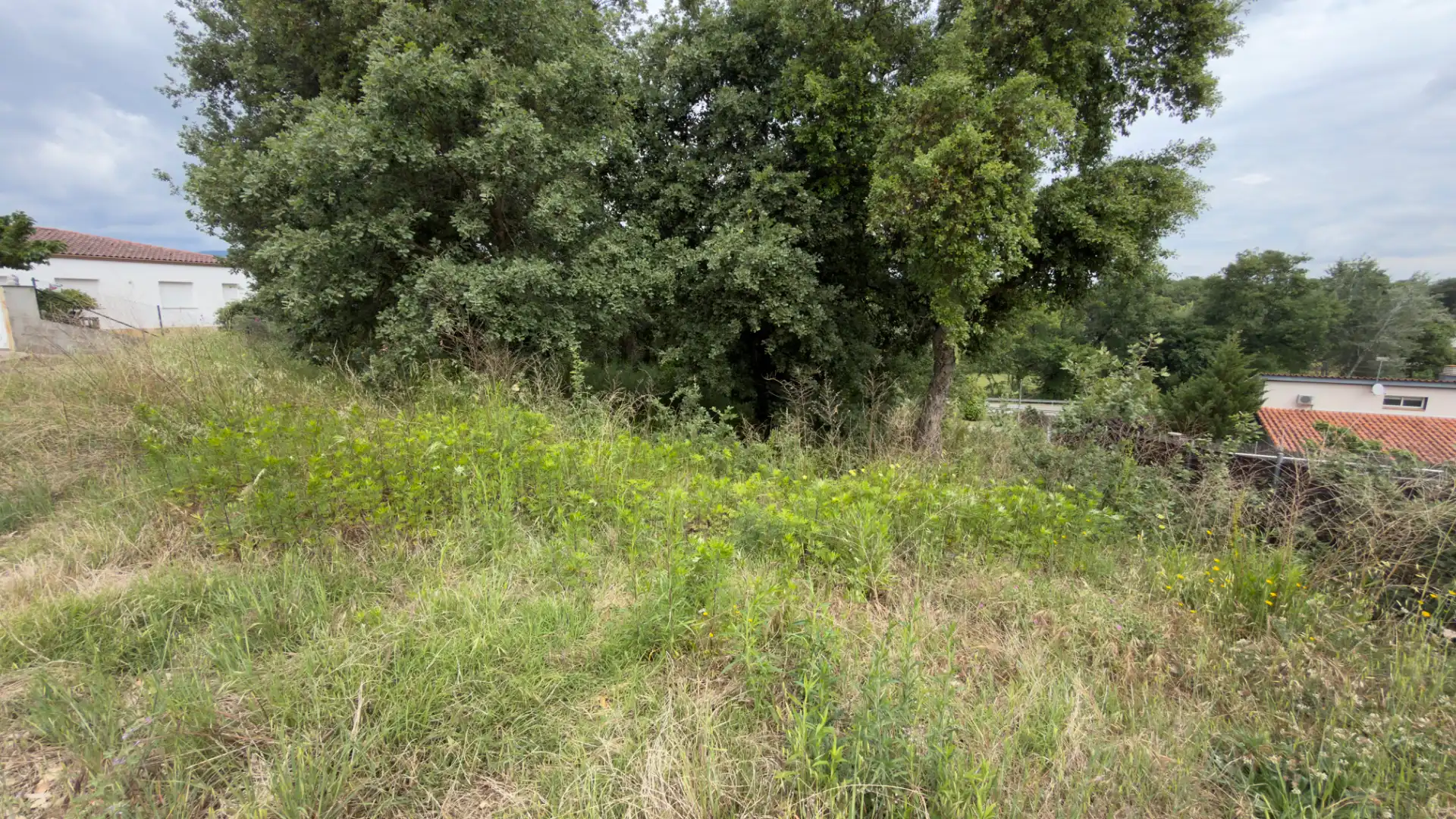 Terreno residencial en venta en Carrer Gregal, imagen 4