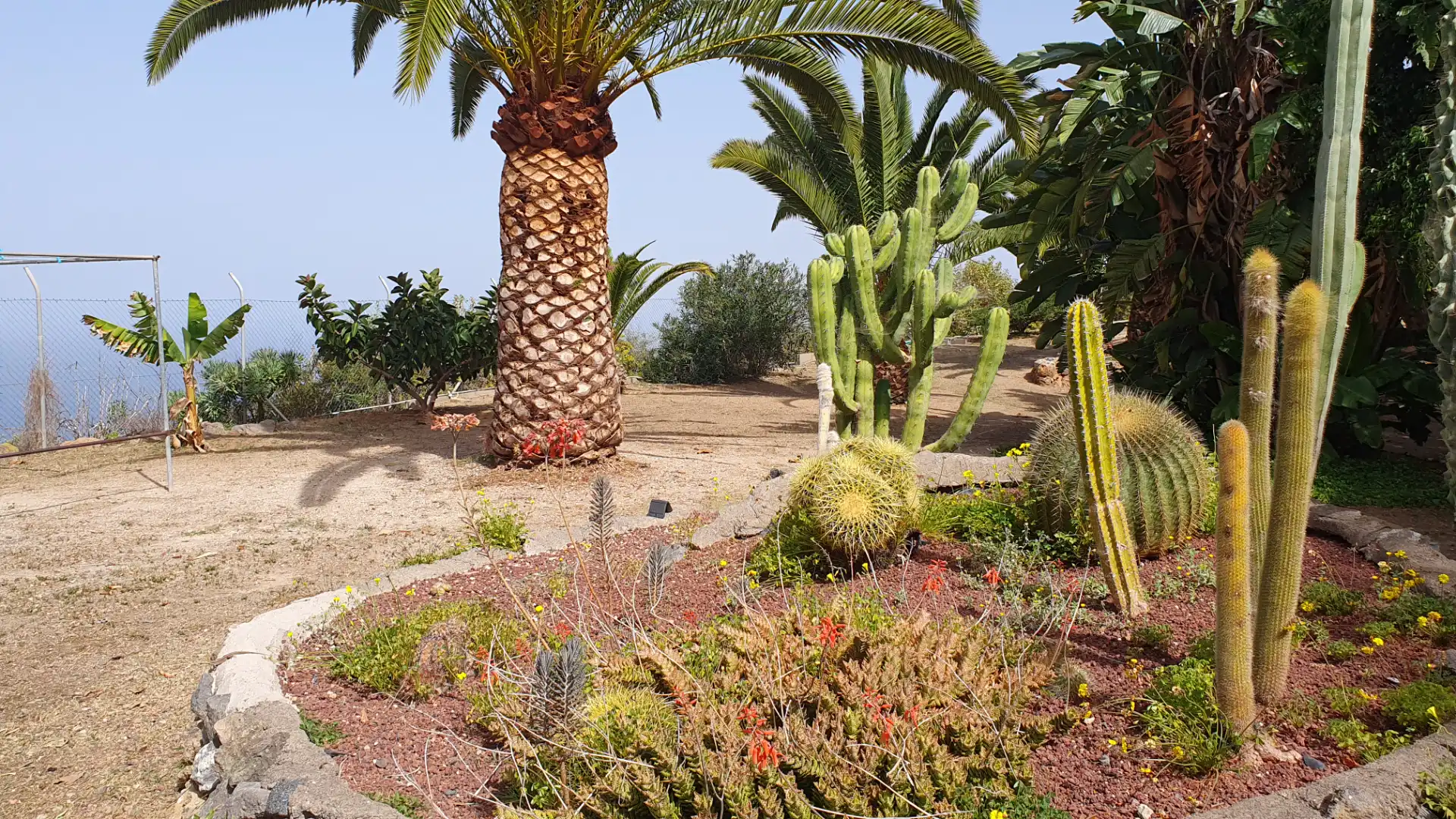 Jardí de Casa o xalet en venda en San Juan de la Rambla amb Jardí privat i Terrassa
