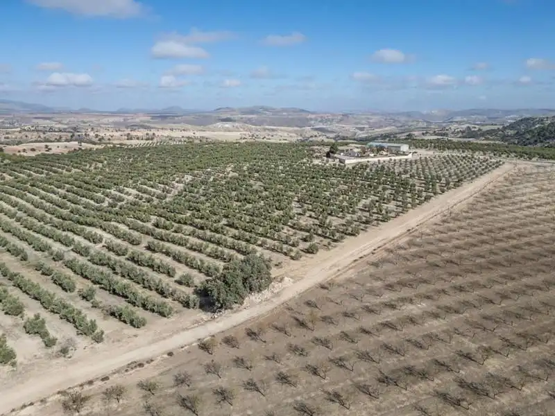 Land for sale in Alamedilla