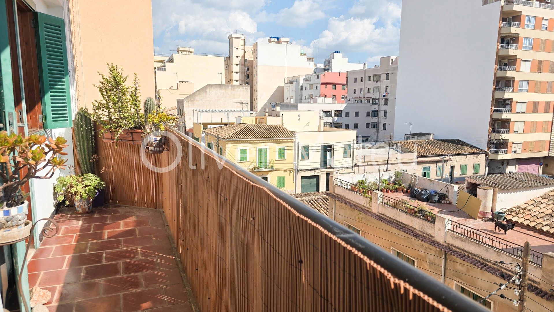 Vista exterior de Pis en venda en  Palma de Mallorca amb Aire condicionat, Parquet i Balcó