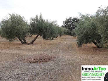 Terrain rustique à vendre à Íllora