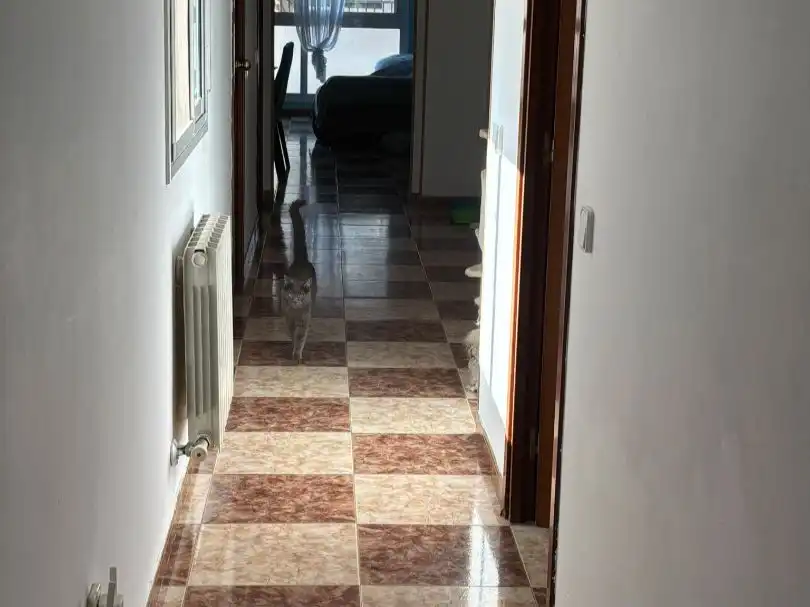 Flat with lift for sale in Carrer de Sant Isidre 1, imagen 20