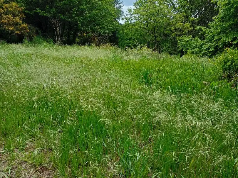 Rural land for sale in a peroxa 2, imagen 2