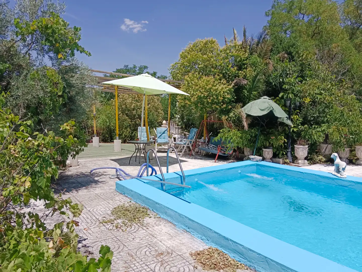 Piscina de Casa o xalet en venda en Illana amb Jardí privat, Terrassa i Piscina