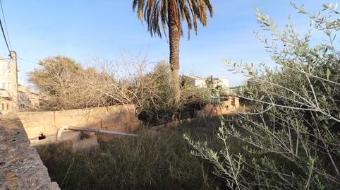 Photo 4 of Residential for sale in Carrer Ca's Quitxero, 17, Sant Jordi, Illes Balears