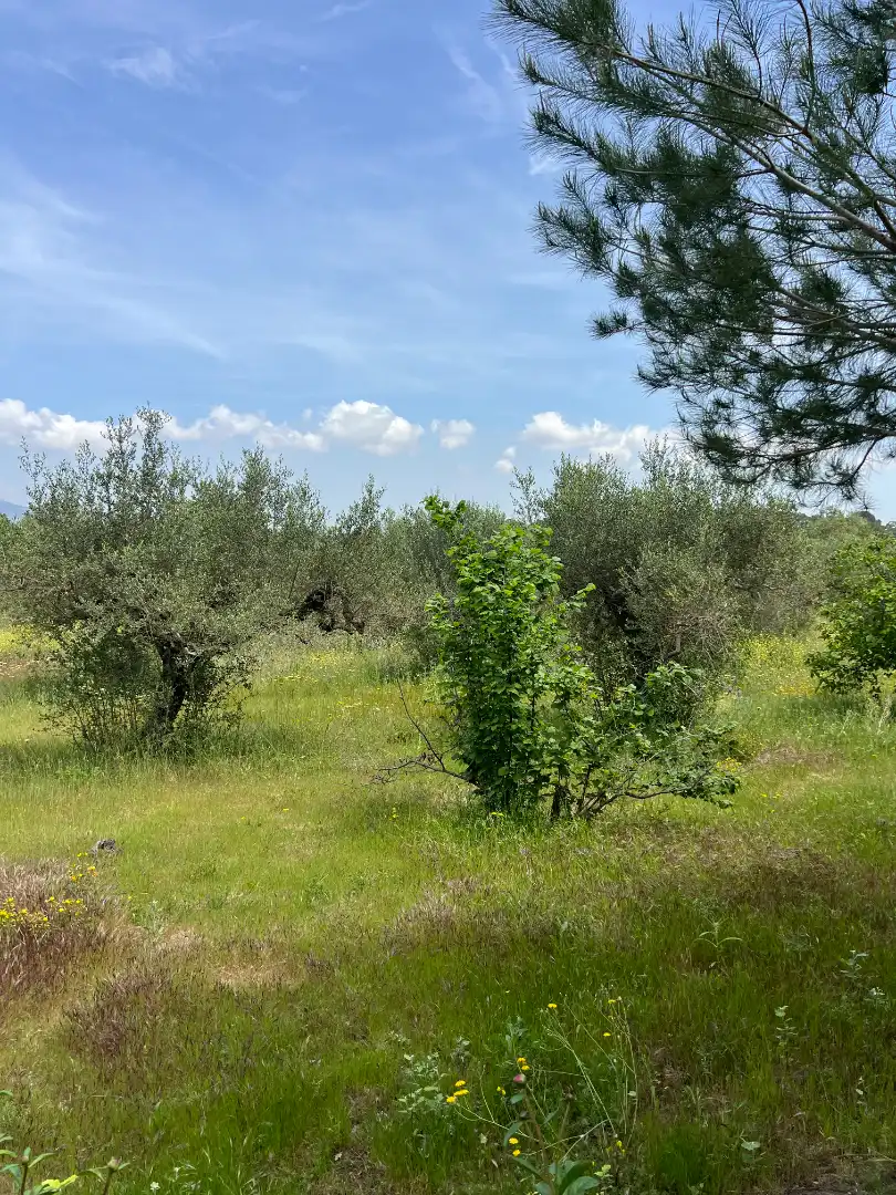 Grundstücke zum Verkauf in Botarell