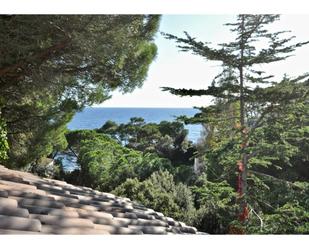 Jardí de Casa o xalet en venda en Lloret de Mar amb Calefacció, Jardí privat i Terrassa