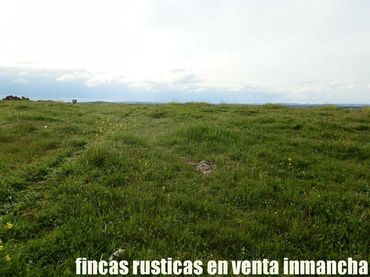 Terreny rústic en venda a Miguelturra