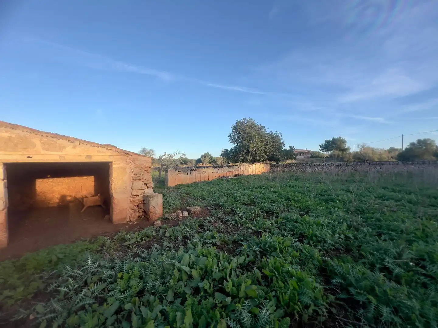 Rural land for sale in Cas Concos - Santanyí, imagen 16