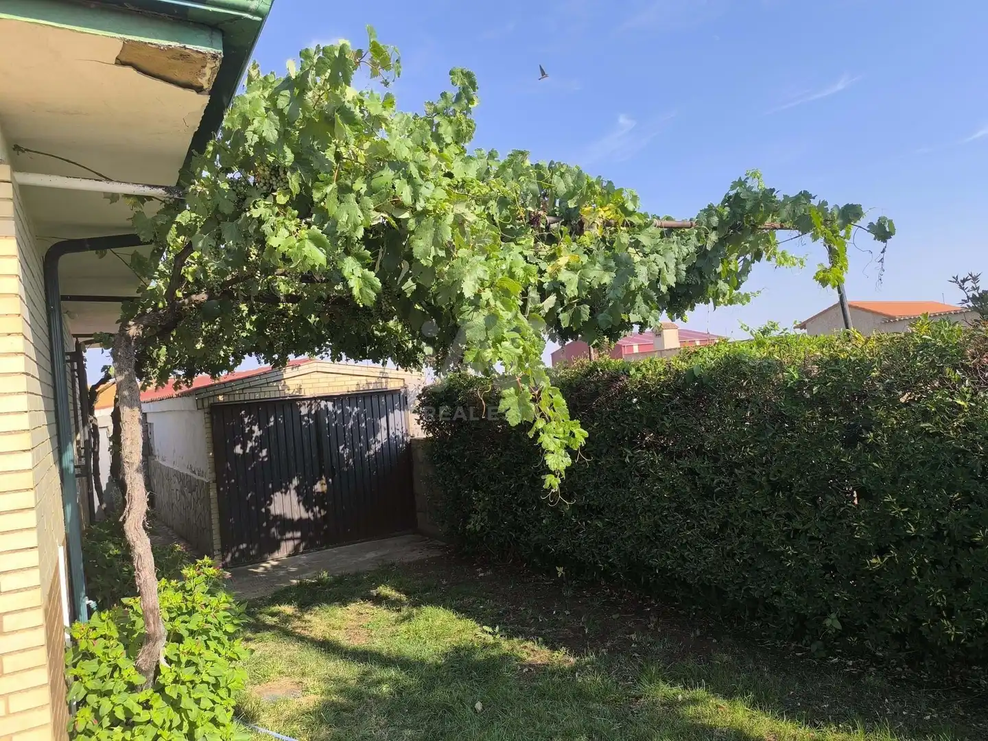 Jardín de Casa o chalet en venta en Matanza con Calefacción