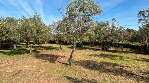 Photo 4 of Country house for sale in N/a, -1, Niebla, Huelva