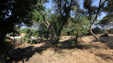 Fantástica parcela cerca de la Costa Brava