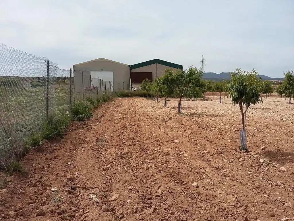 Terreny rústic en venda a CERCA (LA), imagen 3