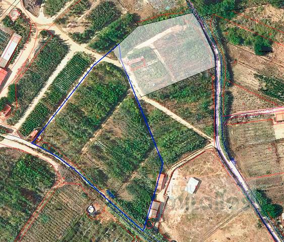 Terreno en Alquiler en Les Pinedes