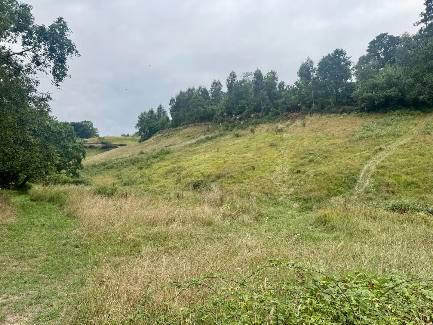 Terreno en venta en Villaviciosa
