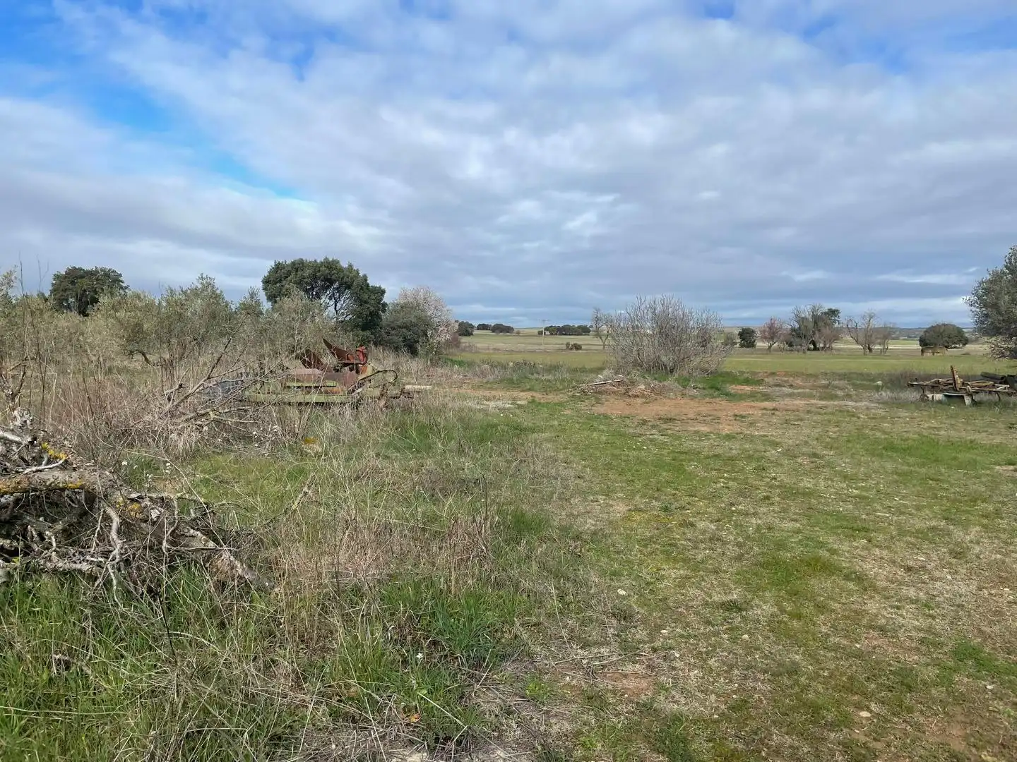 Casa o chalet en venta en Biota con Trastero