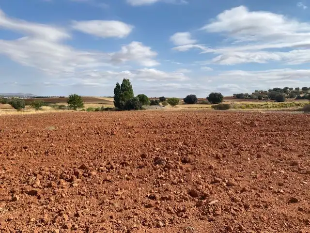 Terreny rústic en venda a Sonseca, imagen 6