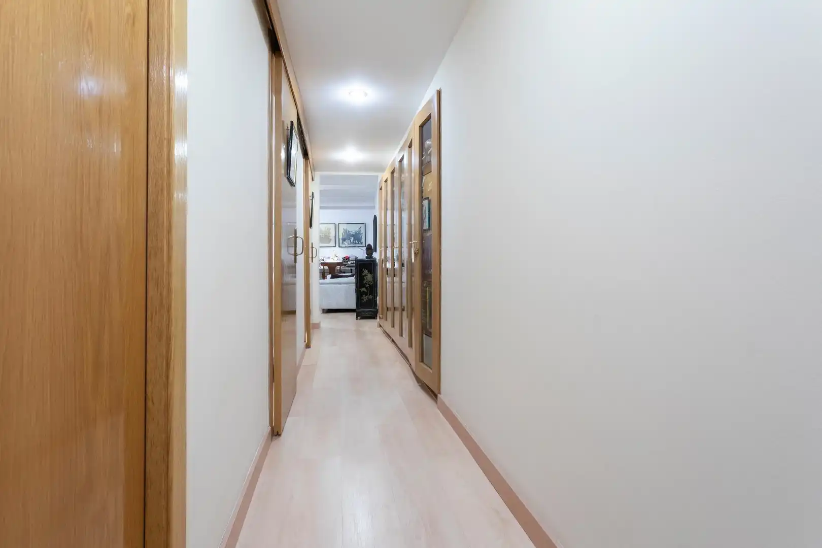 Wohnung mit Terrasse zum Verkauf in Paseo de Colom, imagen 8