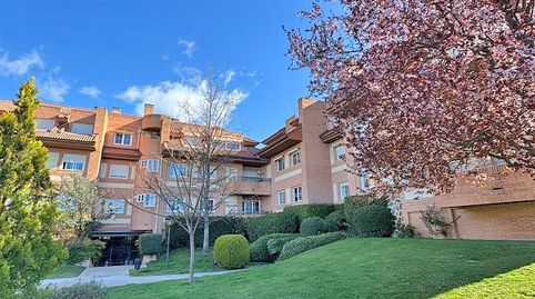 Photo 2 of Flat for rent in Calle de Epidauro, Monte Rozas, Las Rozas de Madrid